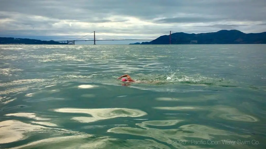 Swimmer Sylvia Lacock approaching San Francisco from Alcatraz with the Golden Gate Bridge visible in the background during a 2018 crossing.