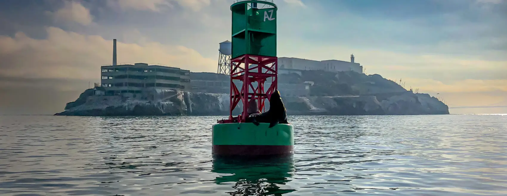 A sea lion resting on a buoy near Alcatraz Island, with the iconic prison and lighthouse in the background.