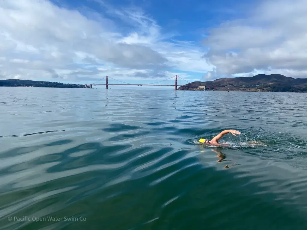 Marathon swimmer heading back toward Aquatic Park with the Golden Gate Bridge in the background on a calm day