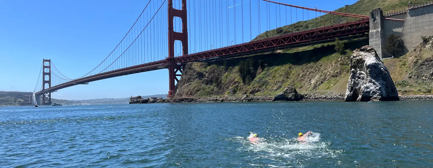Weekly open water swims with Pacific Open Water Swim Co in Sausalito, CA