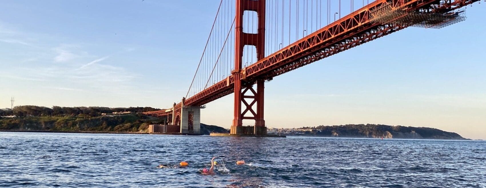 Swimmers in open water under the Golden Gate Bridge, making their way through the San Francisco Bay with bright swim caps and buoys for visibility.
