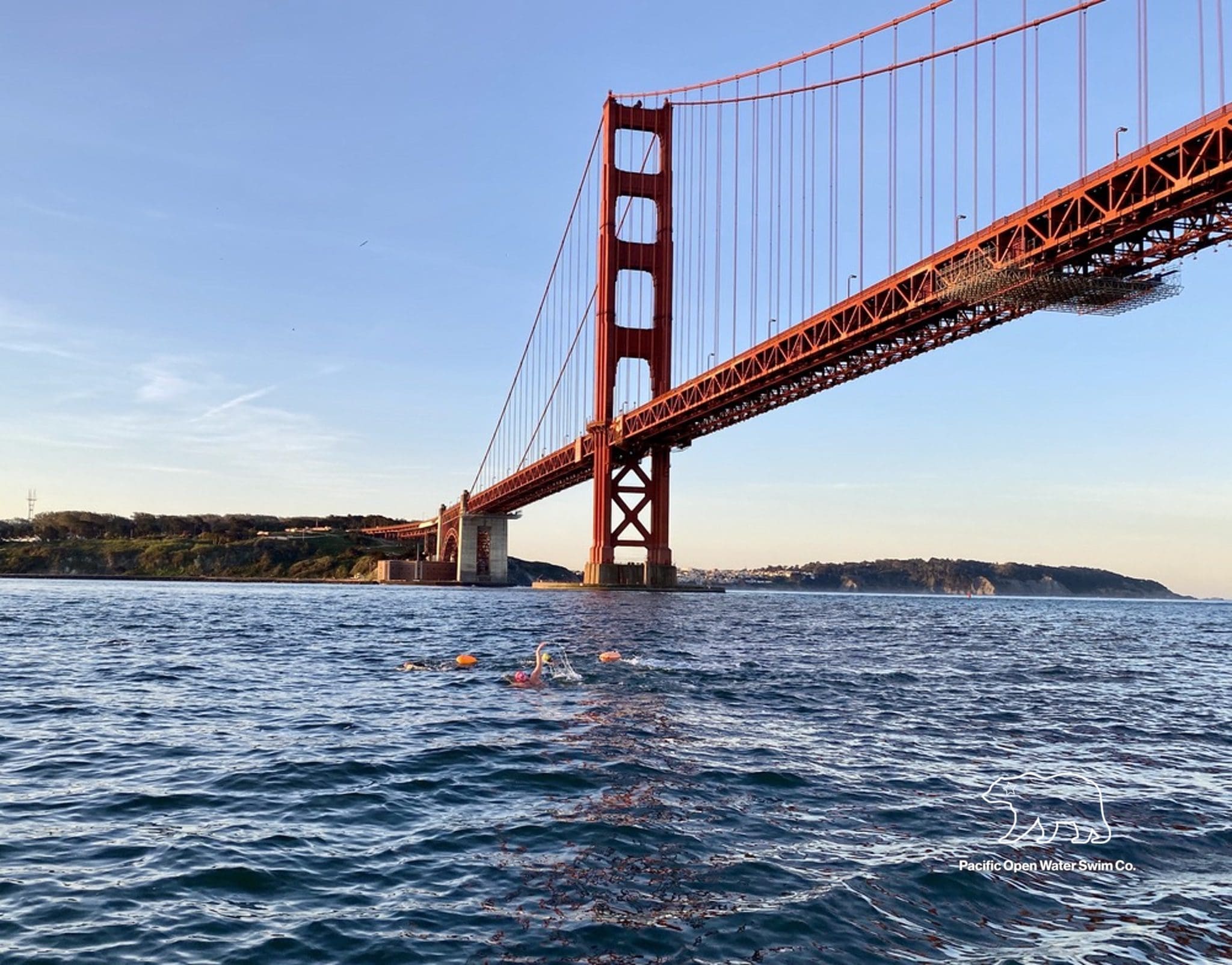 Swimmers in open water under the Golden Gate Bridge, making their way through the San Francisco Bay with bright swim caps and buoys for visibility.
