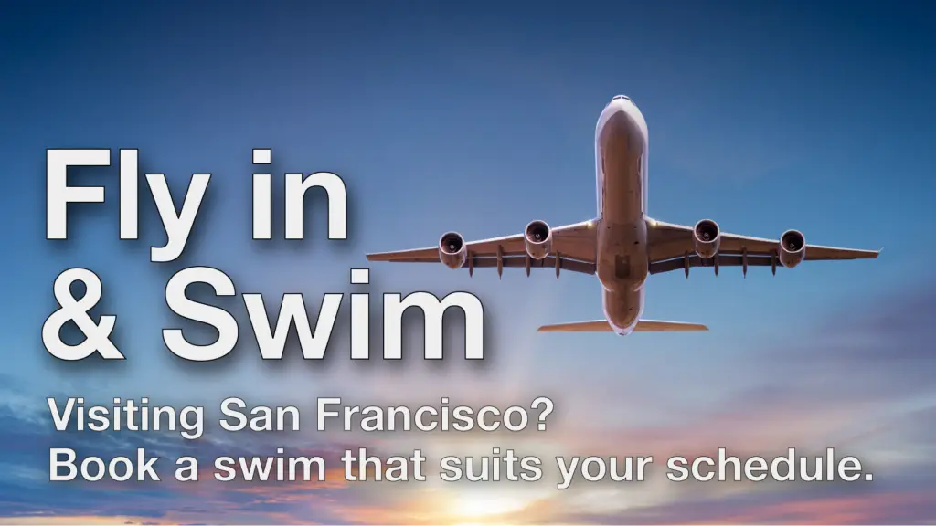 Airplane flying overhead at sunrise with text reading “Fly in & Swim – Visiting San Francisco? Book a swim that suits your schedule.”