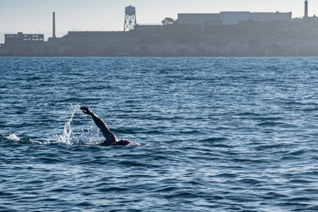 Marathon swimmer approaching Aquatic Park with Alcatraz in the background during a Round Trip Angel Island swim