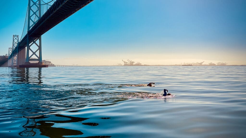 Swimmers finishing the 10km Bridge to Bridge swim under the Oakland Bay Bridge